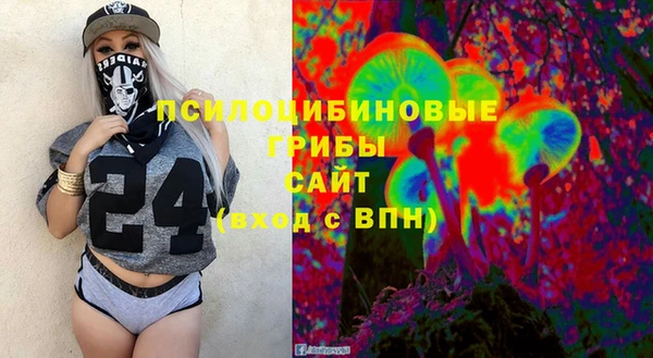 стаф Вязьма