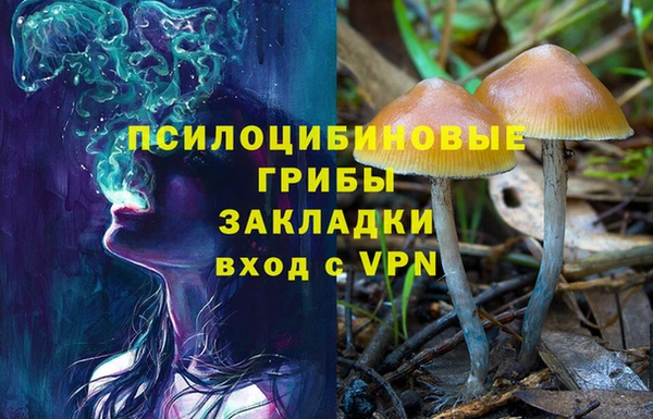 стаф Вязьма