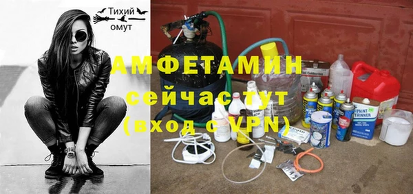 стаф Вязьма