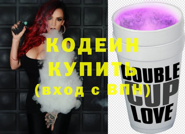 стаф Вязьма